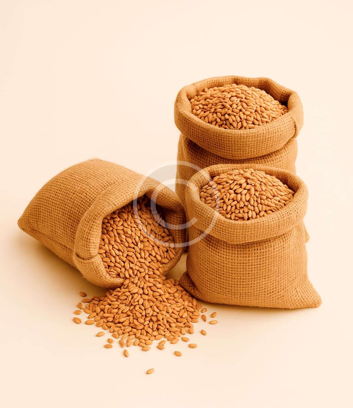 Sack of whole grain wheat - Image 2